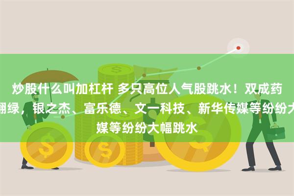 炒股什么叫加杠杆 多只高位人气股跳水！双成药业跳水翻绿，银之杰、富乐德、文一科技、新华传媒等纷纷大幅跳水