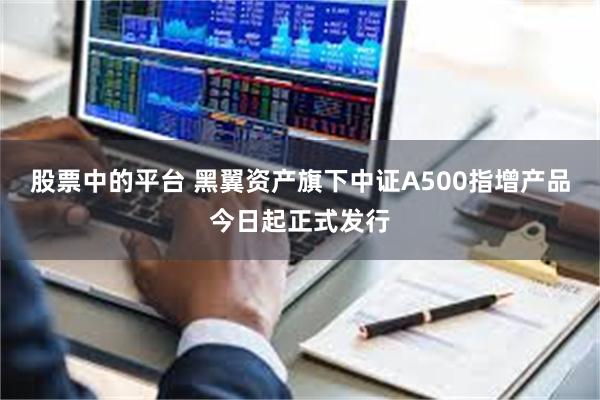 股票中的平台 黑翼资产旗下中证A500指增产品今日起正式发行