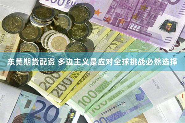 东莞期货配资 多边主义是应对全球挑战必然选择