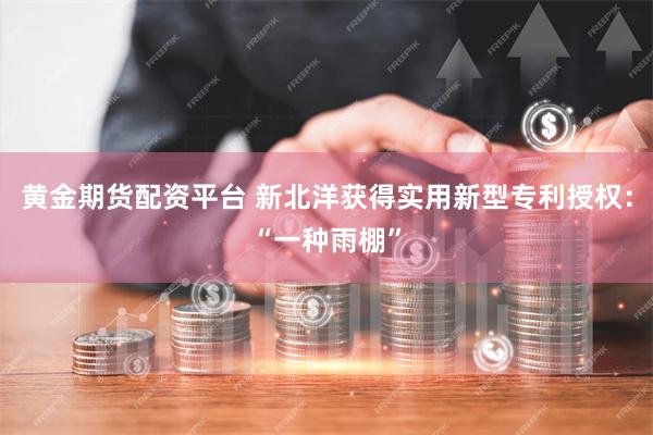 黄金期货配资平台 新北洋获得实用新型专利授权：“一种雨棚”