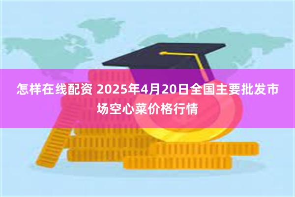 怎样在线配资 2025年4月20日全国主要批发市场空心菜价格行情