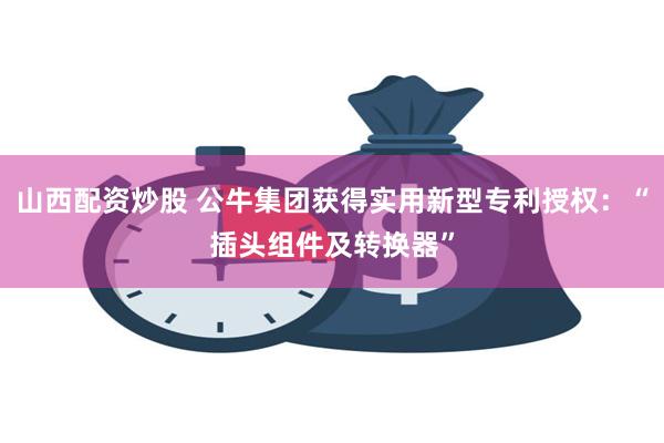 山西配资炒股 公牛集团获得实用新型专利授权：“插头组件及转换器”