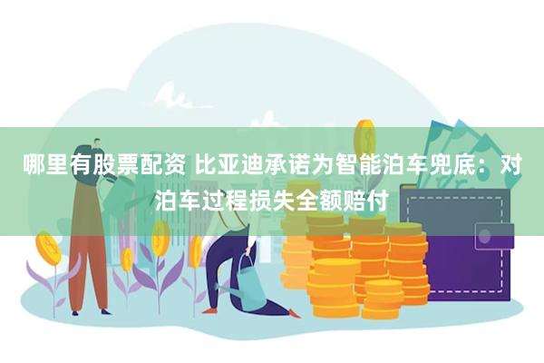 哪里有股票配资 比亚迪承诺为智能泊车兜底：对泊车过程损失全额赔付
