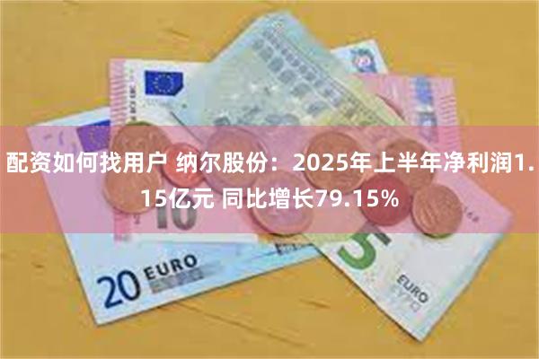 配资如何找用户 纳尔股份：2025年上半年净利润1.15亿元 同比增长79.15%
