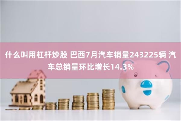 什么叫用杠杆炒股 巴西7月汽车销量243225辆 汽车总销量环比增长14.3%