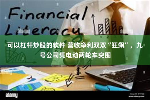 可以杠杆炒股的软件 营收净利双双“狂飙”，九号公司凭电动两轮车突围