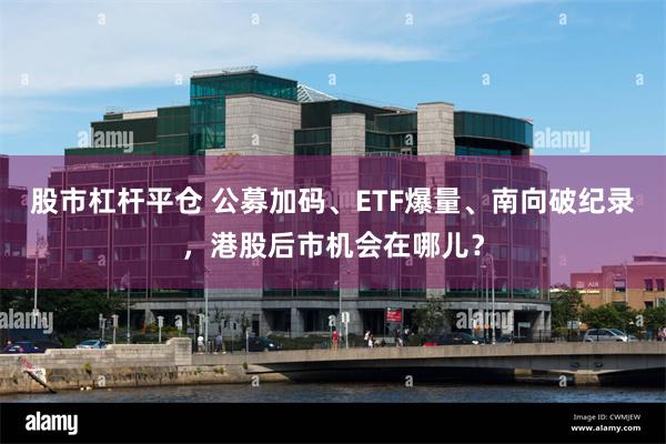 股市杠杆平仓 公募加码、ETF爆量、南向破纪录，港股后市机会在哪儿？