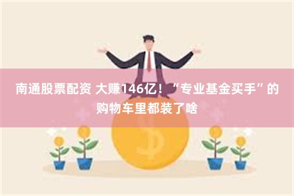 南通股票配资 大赚146亿！“专业基金买手”的购物车里都装了啥