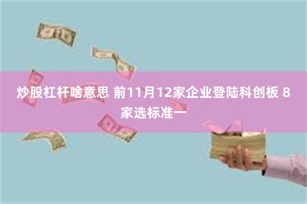 炒股杠杆啥意思 前11月12家企业登陆科创板 8家选标准一